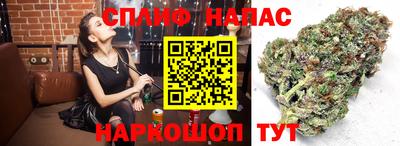 стафф Ликино-Дулёво