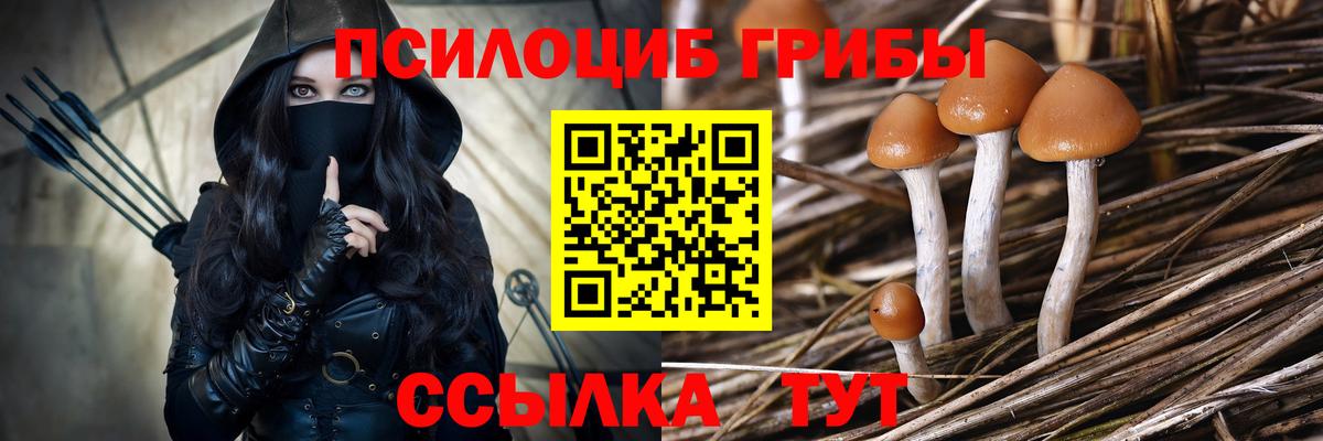 Зерноград  Псилоцибиновые грибы ЛСД  закладка  Вход с VPN 
