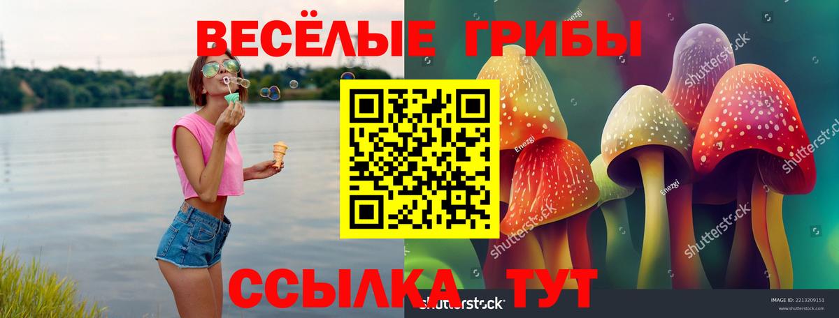 Галлюциногенные грибы GOLDEN TEACHER Зерноград
